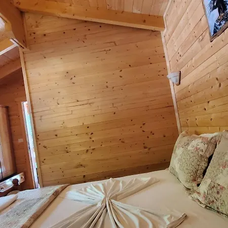 Panorama 호텔 Dajti