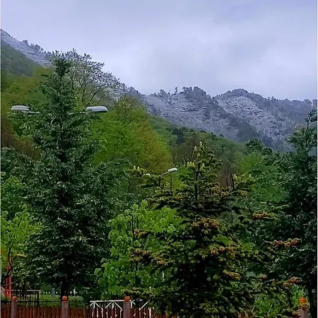 Panorama Dajti